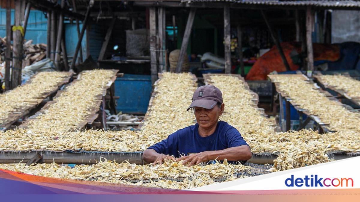 Harga Ikan Asin Melonjak Imbas Pasokan Menyusut