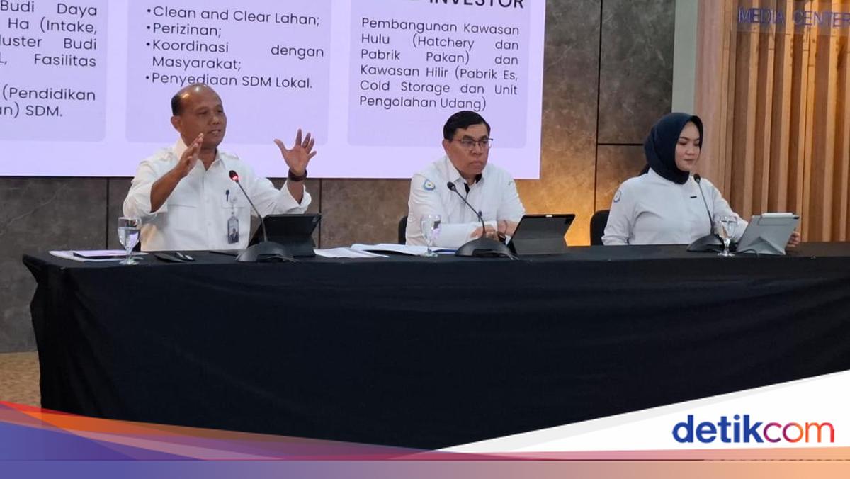 KKP Ajak Swasta Ikut Bangun Tambak Udang Raksasa di NTT, Janji Beri Kemudahan