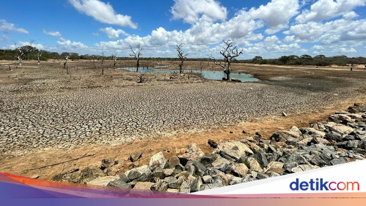 Ciri-ciri Musim Kemarau hingga Prediksi Puncaknya di Indonesia