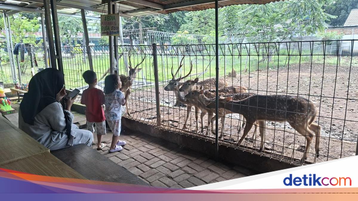 Potret Taman Rusa Bintik Putih, Wisata Gratis Favorit Warga Cijantung