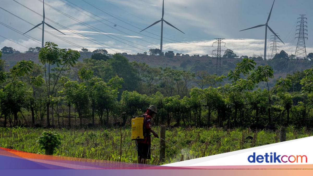 Dorong Energi Bersih, PLTB Nasional Ditingkatkan