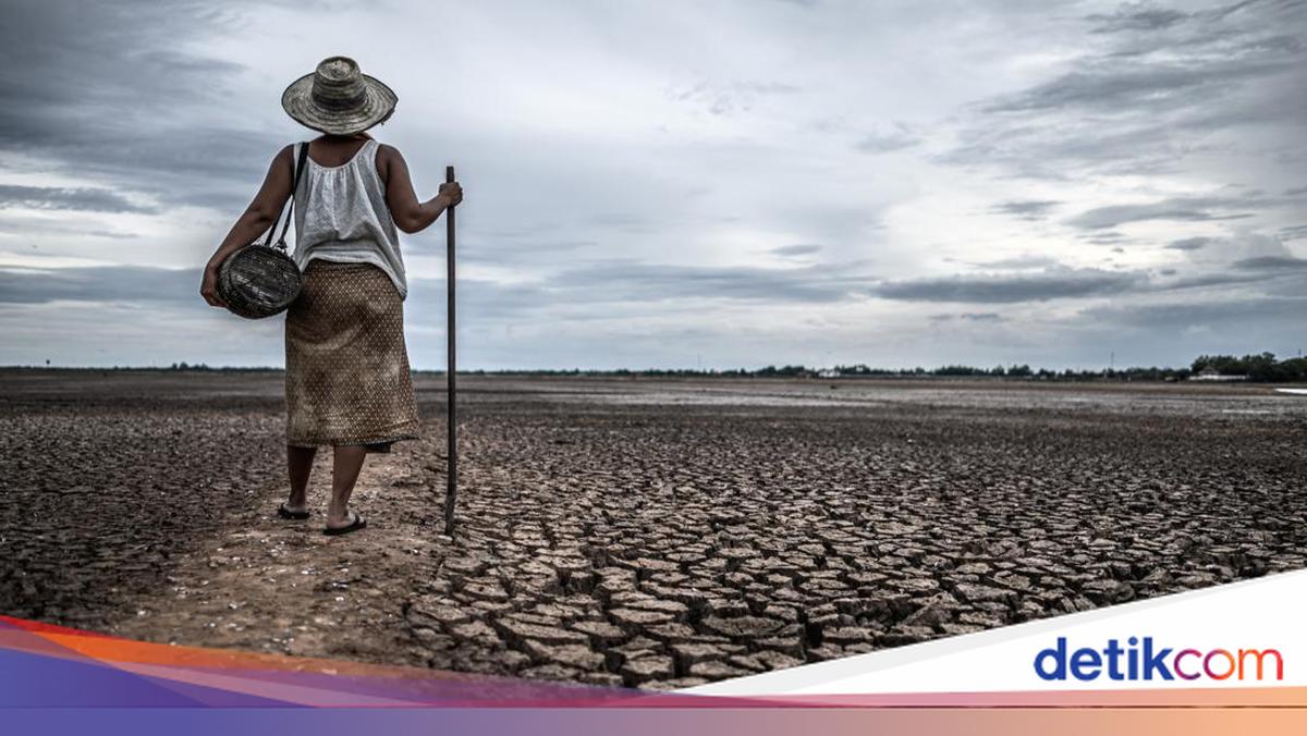 Kedatangan El Nino Bisa Merenggut Nyawa? Ini Kata Profesor BRIN