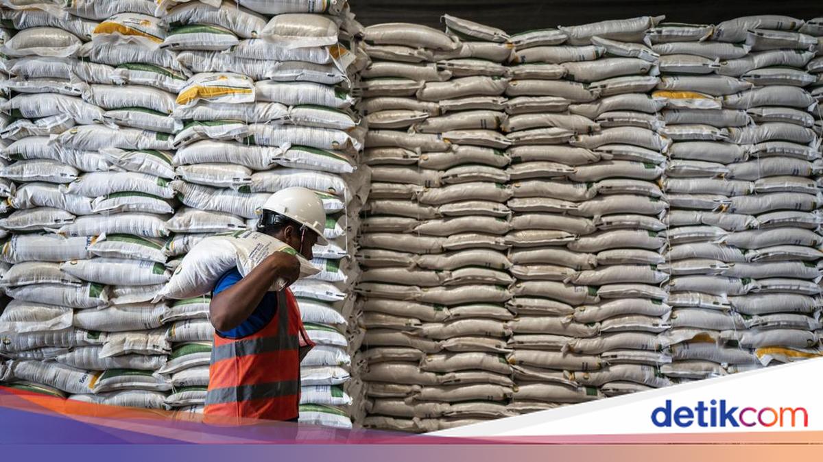 Cadangan Beras 4,5 Juta Ton, Jamin Pasokan di Tengah Gejolak Global