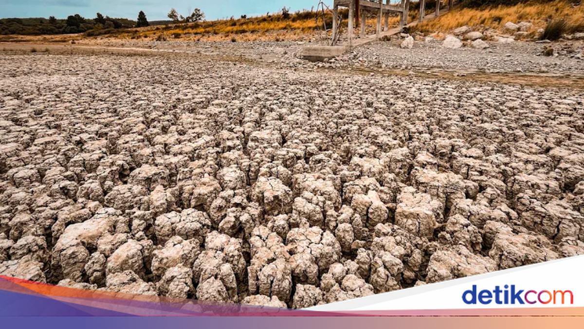 Kekeringan Surutkan Air dan Ungkap Kota Kuno Ribuan Tahun