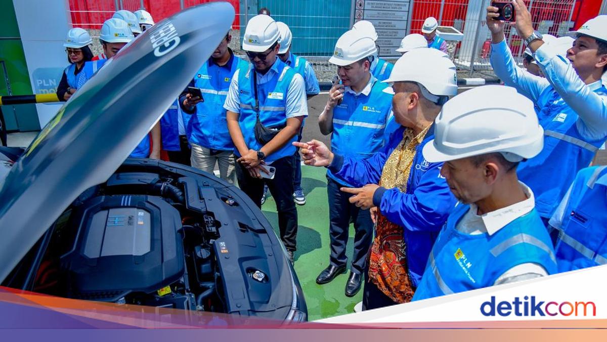 Perusahaan Listrik Vietnam Lirik RI, Bahas Efisiensi Pembangkit