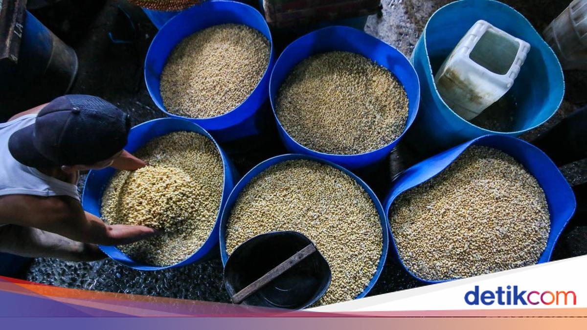 Siasat Perajin Tahu Pangkas Ukuran demi Bertahan Saat Harga Kedelai Mahal