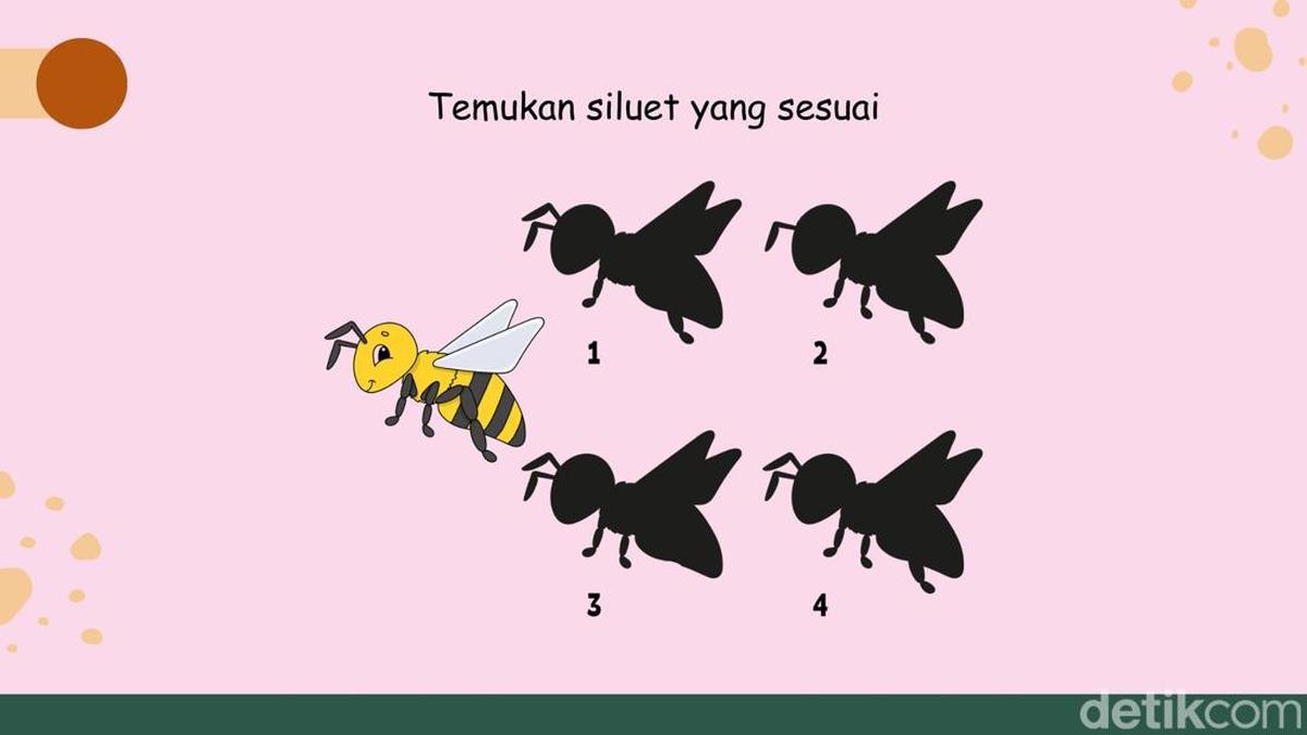 Tes Fungsi Otak! Cuma 'Visual Thinker' yang Bisa Tebak Siluetnya Sambil Merem