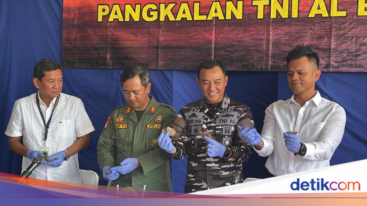 TNI AL Gagalkan Penyelundupan Sisik Trenggiling Rp 46,8 M di Perairan Banten