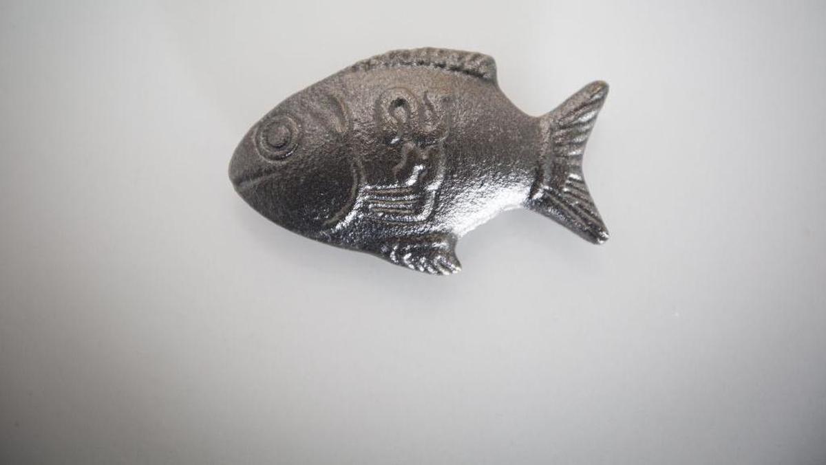 Iron Lucky Fish: Ikan Besi untuk Bantu Cegah Anemia, Benarkah Efektif?