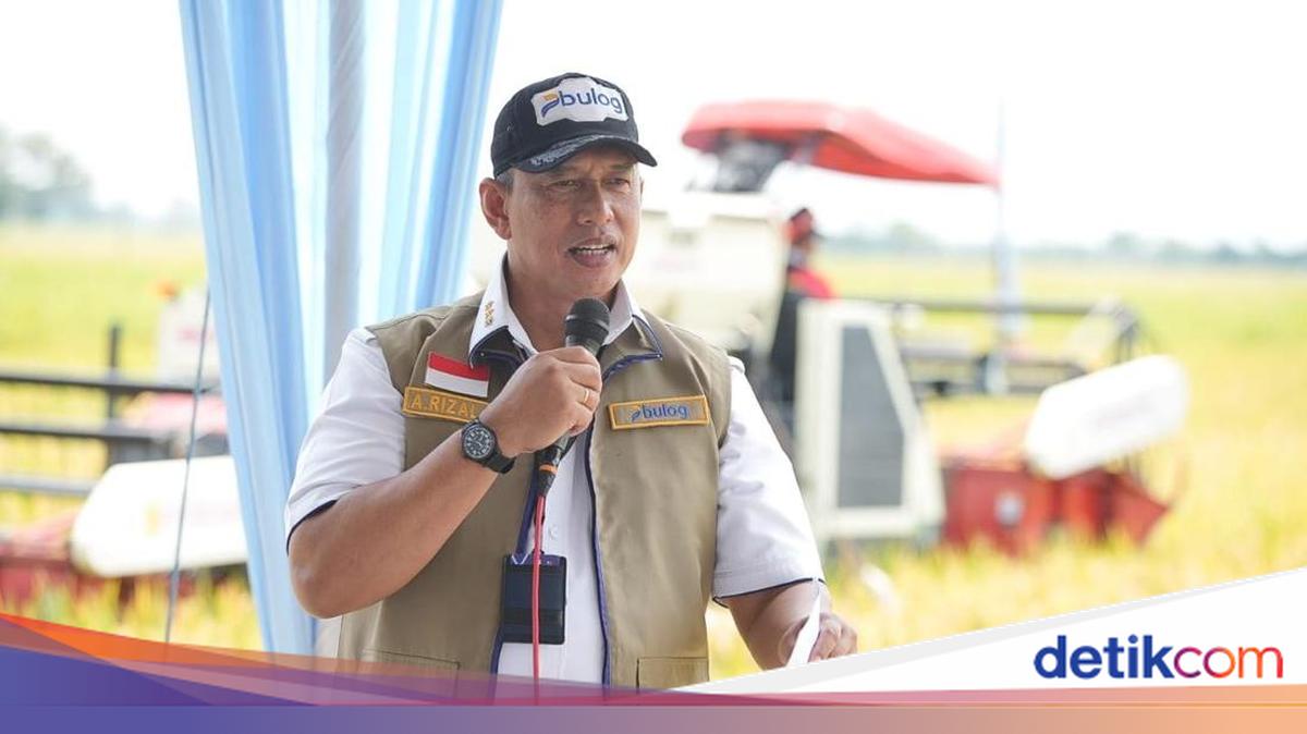 Stok Beras Aman, Bulog Pastikan 4,6 Juta Ton Tersebar Merata