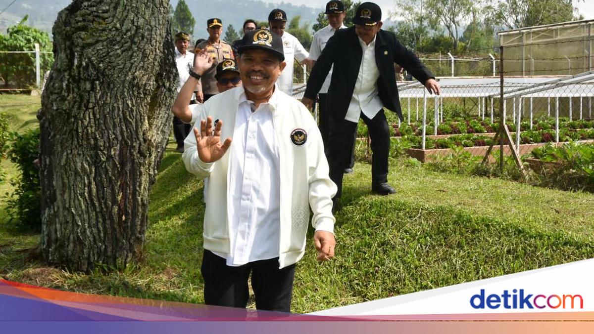 Johan Rosihan Minta Setop Impor Bawang Putih: Kita Pernah Swasembada