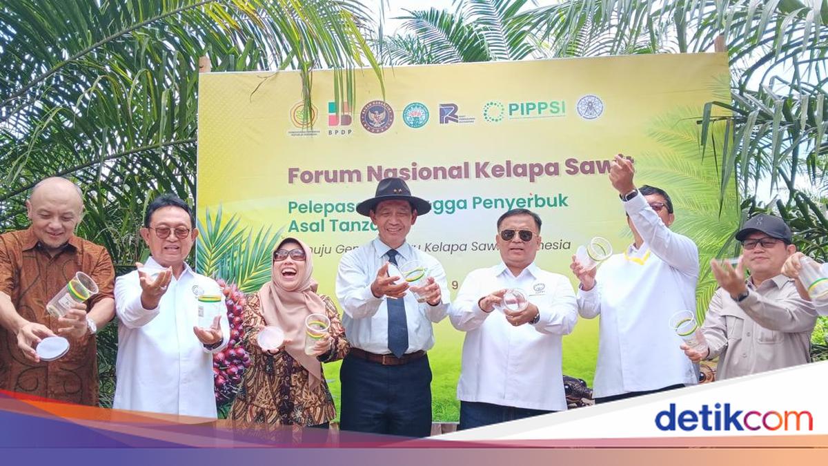 Serangga Penyerbuk Dilepas di Kebun Sawit, Ini Tujuannya