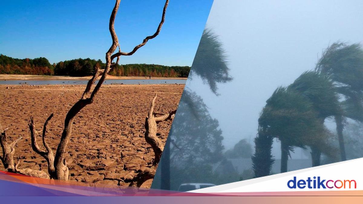 Beware of El Nino Super, Get to Know Its Characteristics