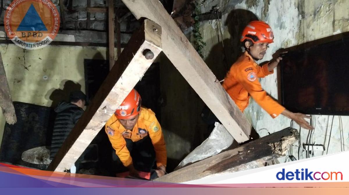 Pohon Tumbang Timpa Rumah di Bogor, Ibu dan Anak Sempat Terjebak Reruntuhan