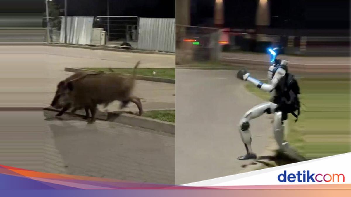 Absurd Banget! Robot Humanoid Kejar Babi Hutan Viral di Medsos