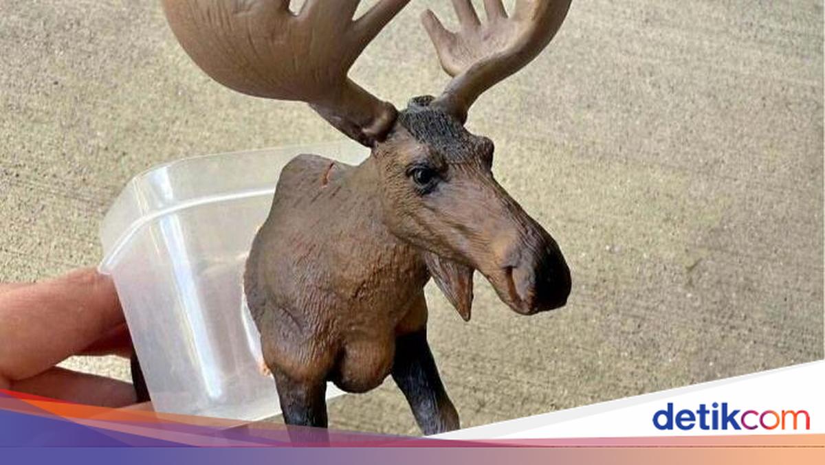 Barang Aneh di Facebook Marketplace Bikin Kaget dan Melotot