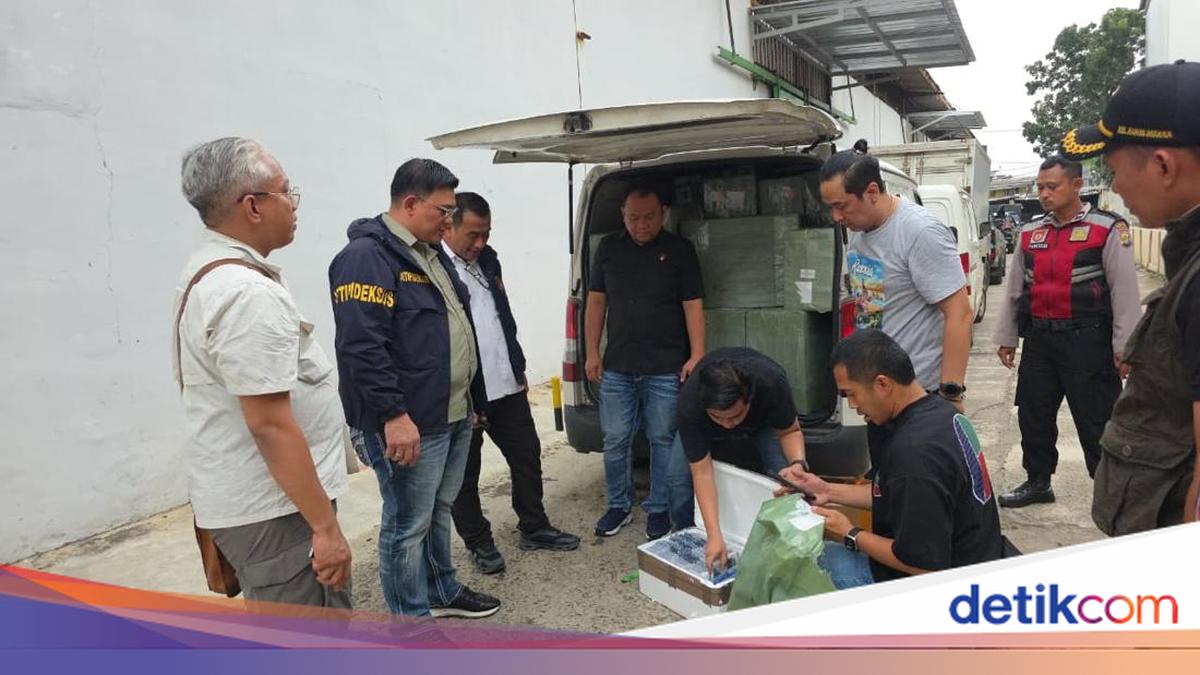 Satgas Bareskrim Geledah 5 Gudang di Jakarta, Ribuan HP Impor Ilegal Disita