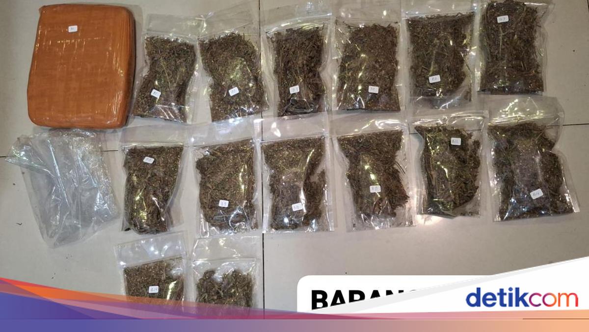 Polda Metro Tangkap Pengedar Narkoba di Depok, Ganja 6,2 Kg Disita