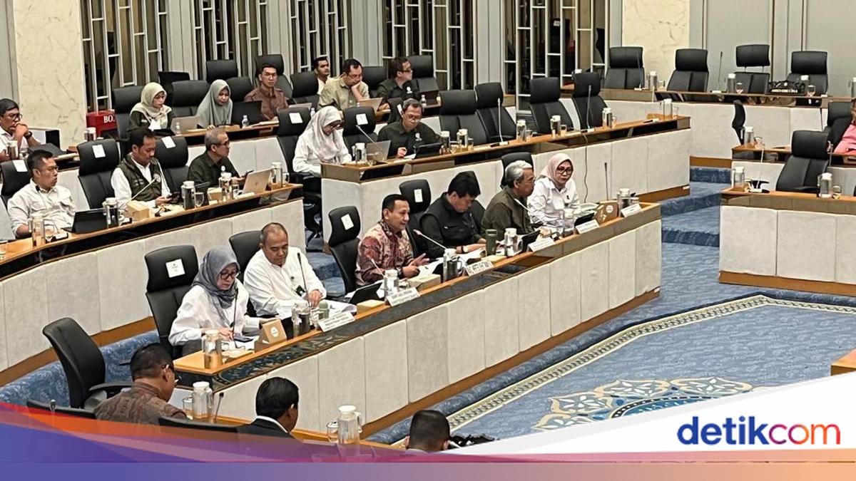 Pemerintah Larang Wisata Gajah Tunggang, Inpres Segera Terbit
