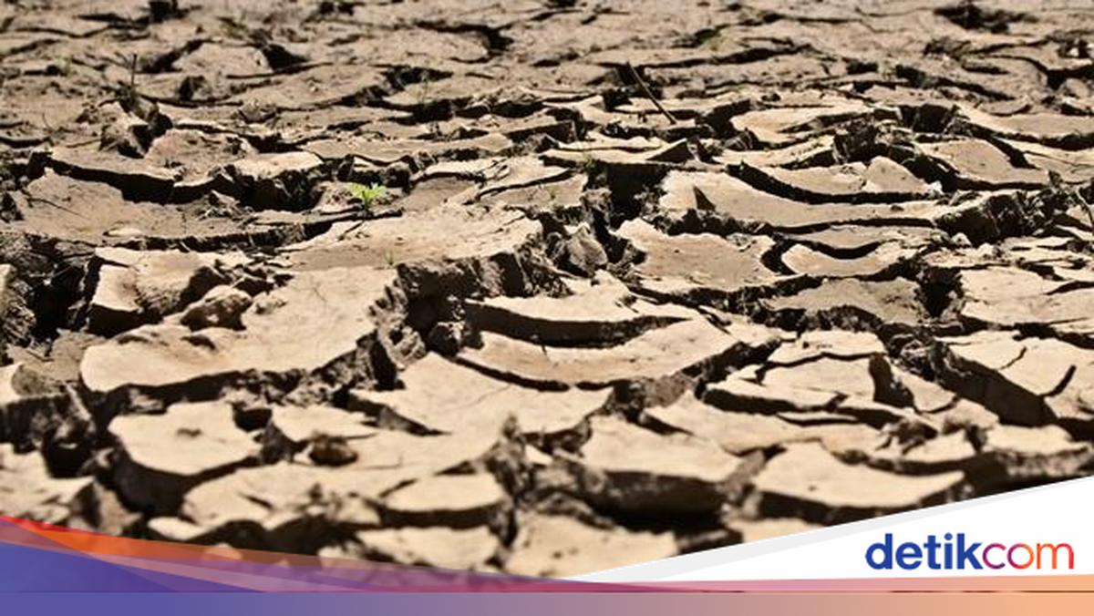Ancaman Super El Nino Bisa Bikin Bumi Makin Mendidih