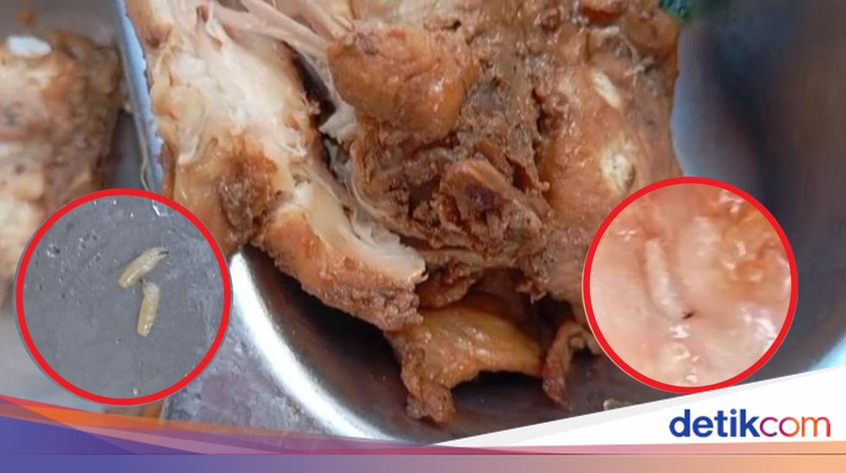 Viral MBG Siswa TK di Lembata NTT Berulat-ulat, Kepala SPPG Minta Cek Lab