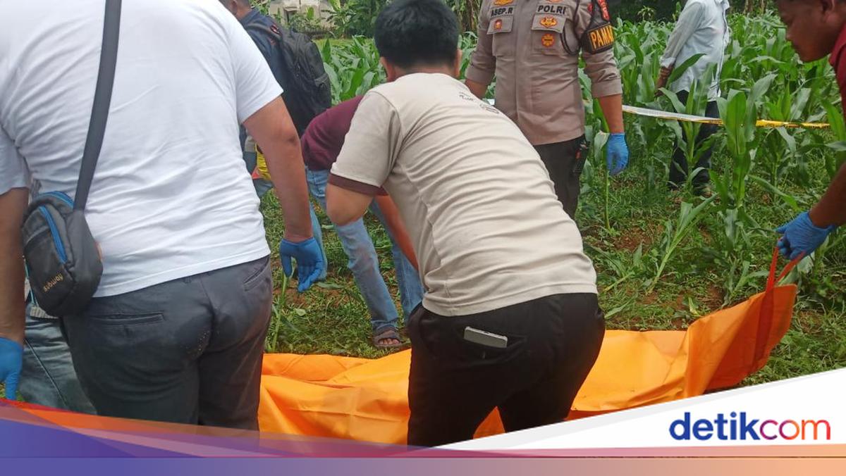 Kasus Mayat Pria di Kebun Jagung Bogor, Polisi Ungkap Sambaran Petir di TKP
