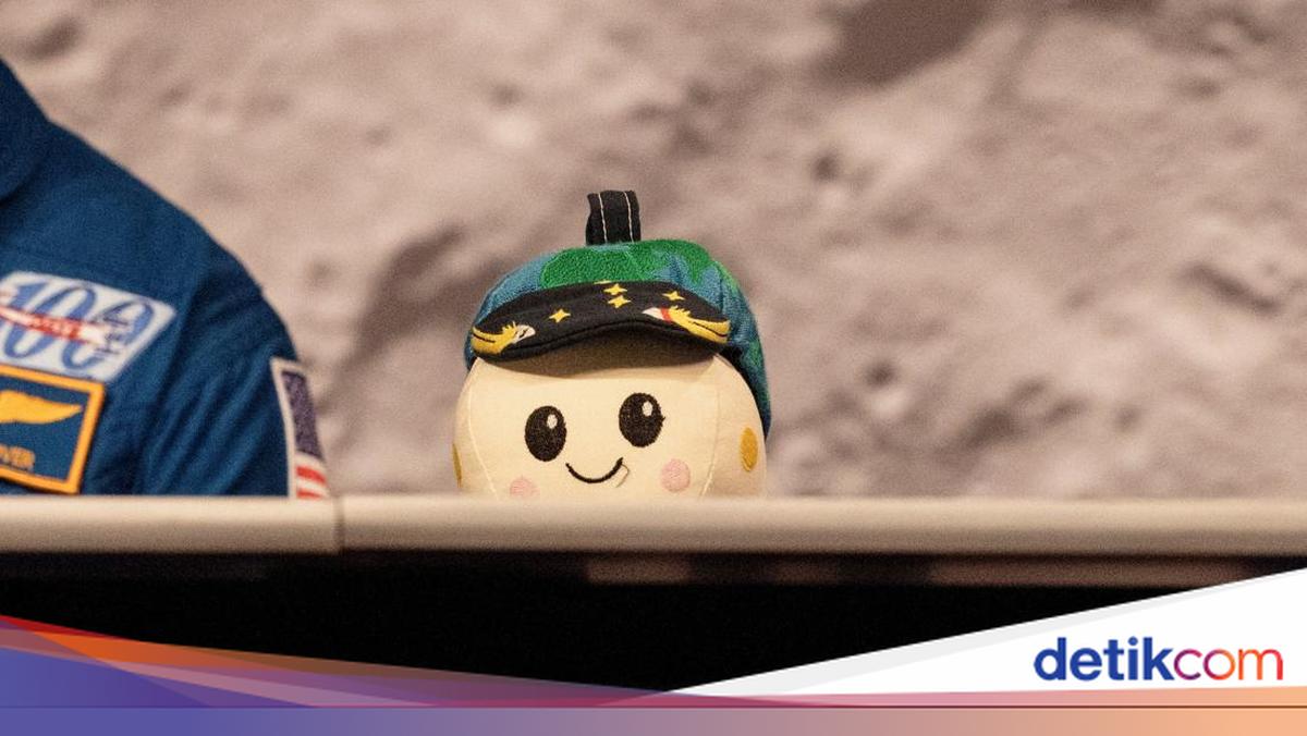 Potret Rise, Karya Bocah 8 Tahun yang Ikut Terbang ke Bulan