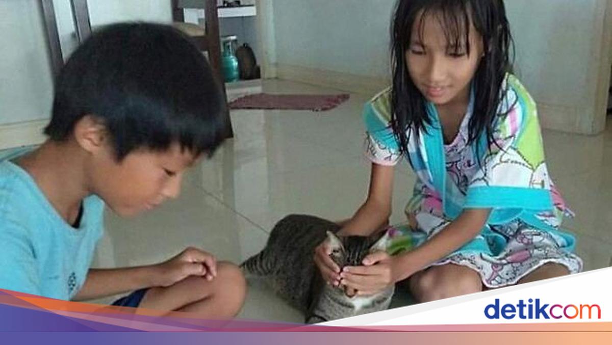 Butuh Hiburan? 15 Foto Ini Bisa Jadi Penawar Sisi Negatifnya Media Sosial