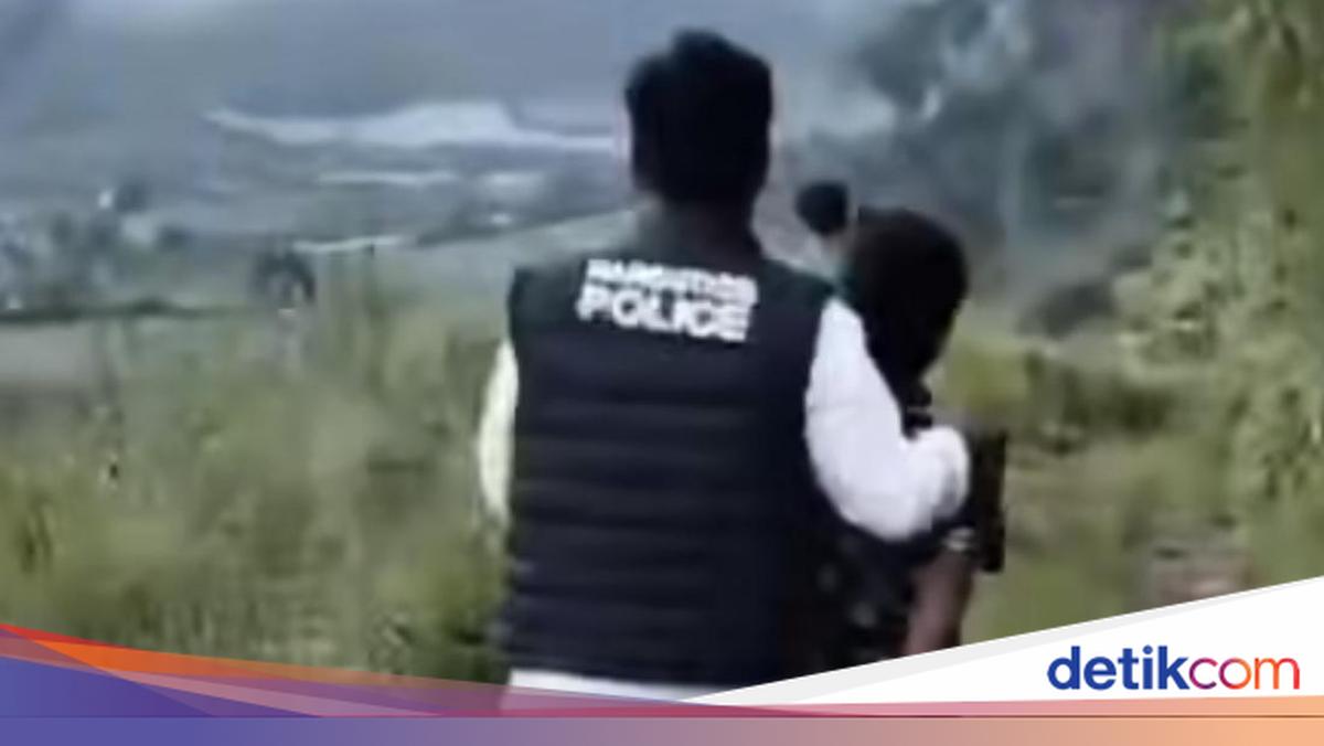 Polisi Temukan Kebun Ganja di Kawasan Hutan Lindung Karo, 4 Orang Ditangkap