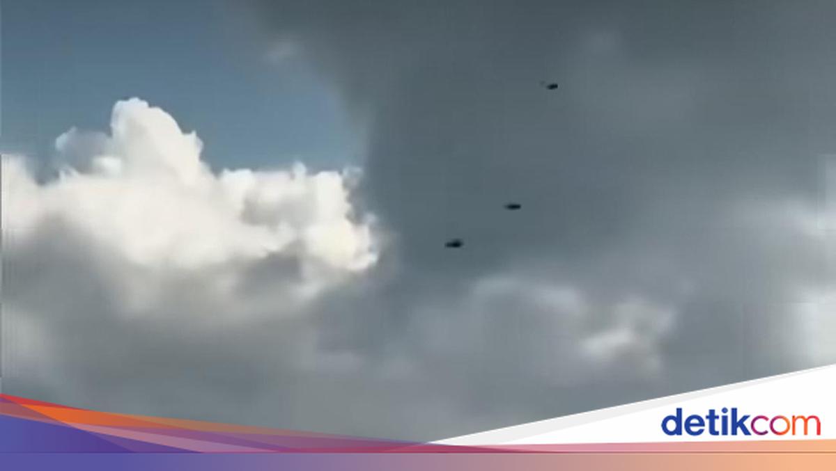 Heboh Kawanan Lebah di Tol Bali Mandara, BKSDA Ungkap Penyebabnya