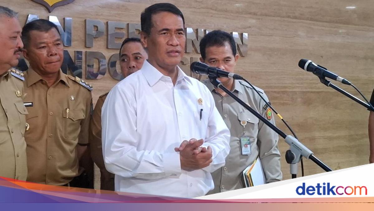 Pemerintah Beri Hibah Tanaman Tebu-Kopi &amp; Irigasi Rp 12 T buat Petani