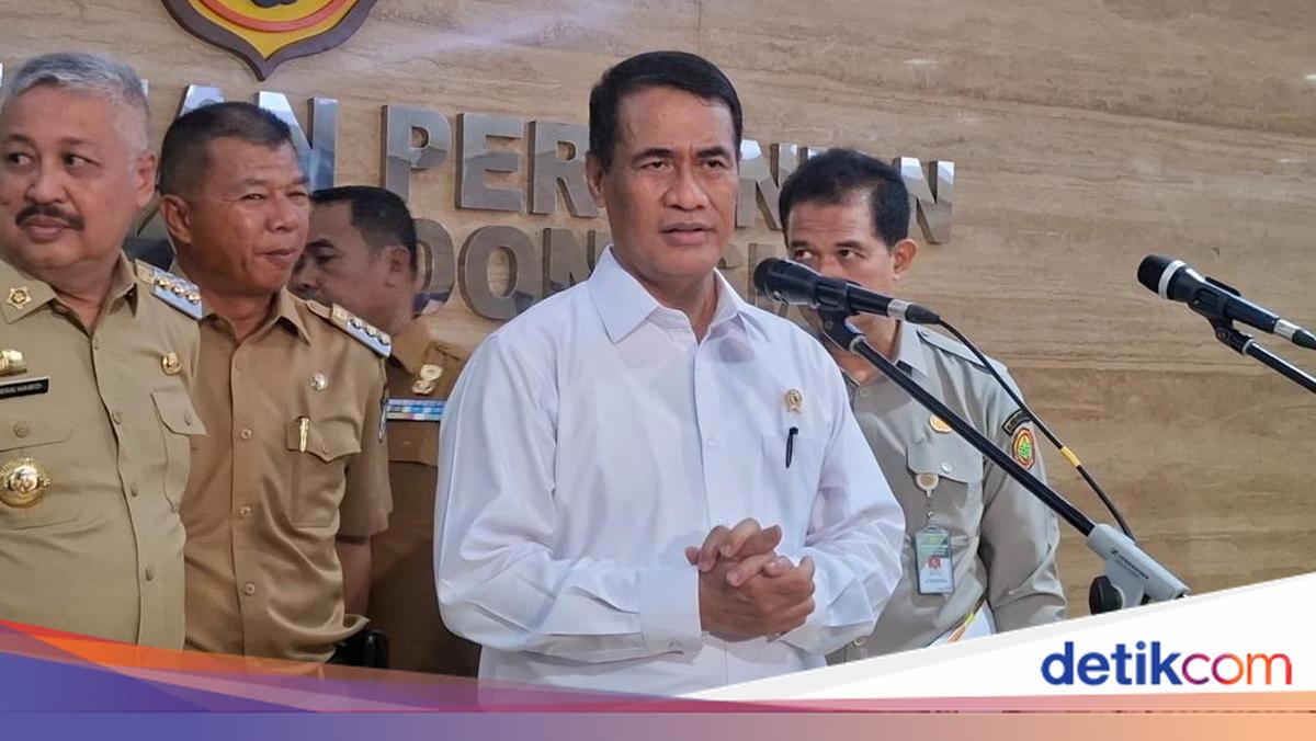 Benih Padi Minim Air Rp 2 T Disiapkan buat Lawan El Nino Godzilla