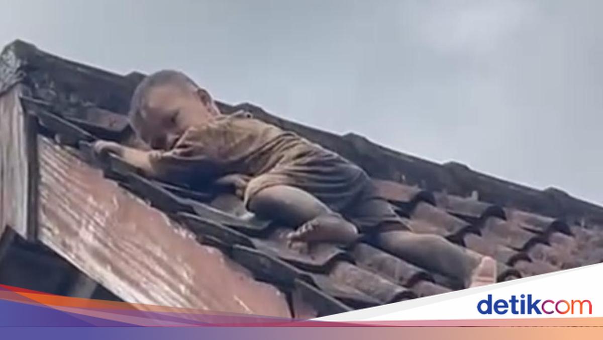 Balita di Lombok Merayap ke Genteng, Momen Evakuasinya Menegangkan