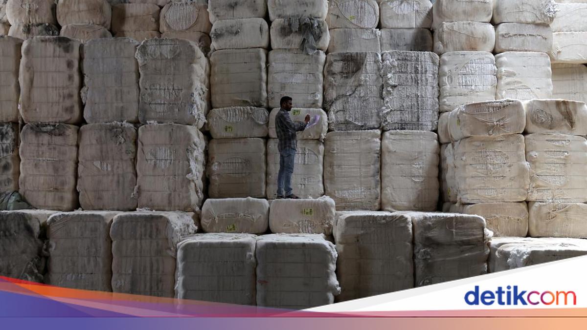Produksi Benang Katun di Gujarat Menggeliat, Pekerja Sibuk Olah Kapas
