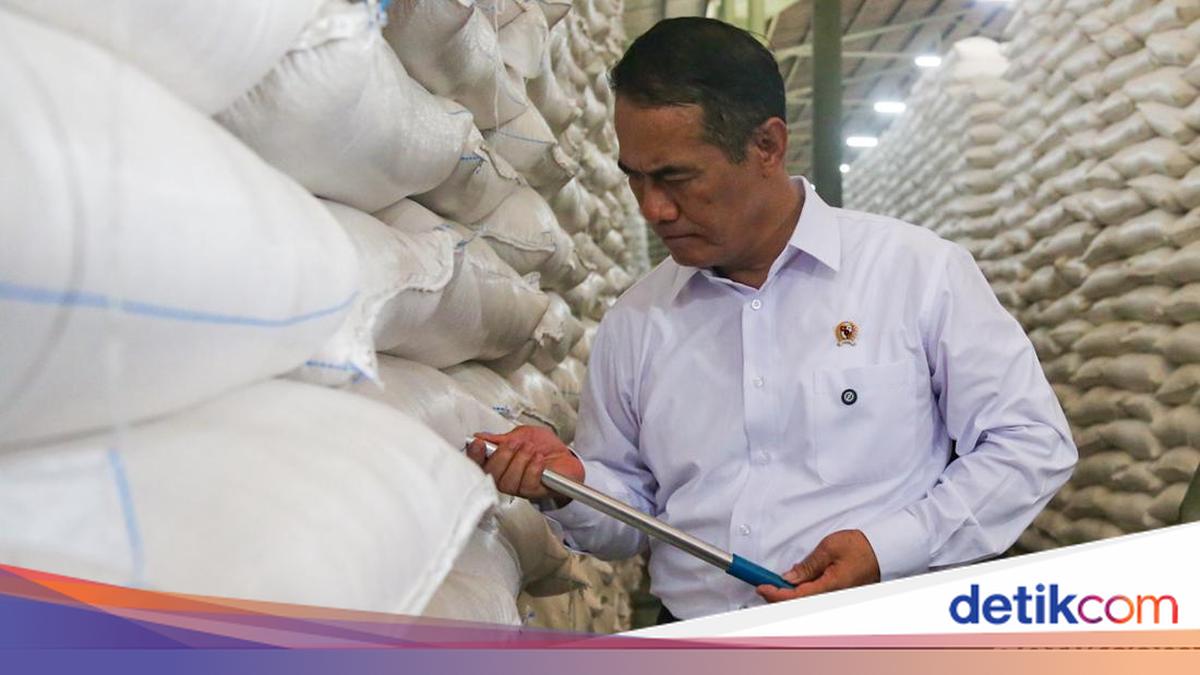 Stok Beras Tembus Rekor Tertinggi, Mentan: 2026 Tidak Impor!