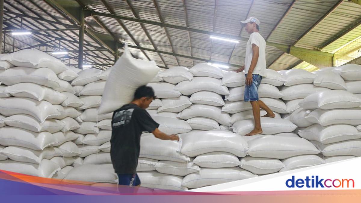 Serapan Jagung Bulog Baru 19% dari Target – Inpres Berjalan Lambat, Risiko Harga Pakan Tetap Tinggi