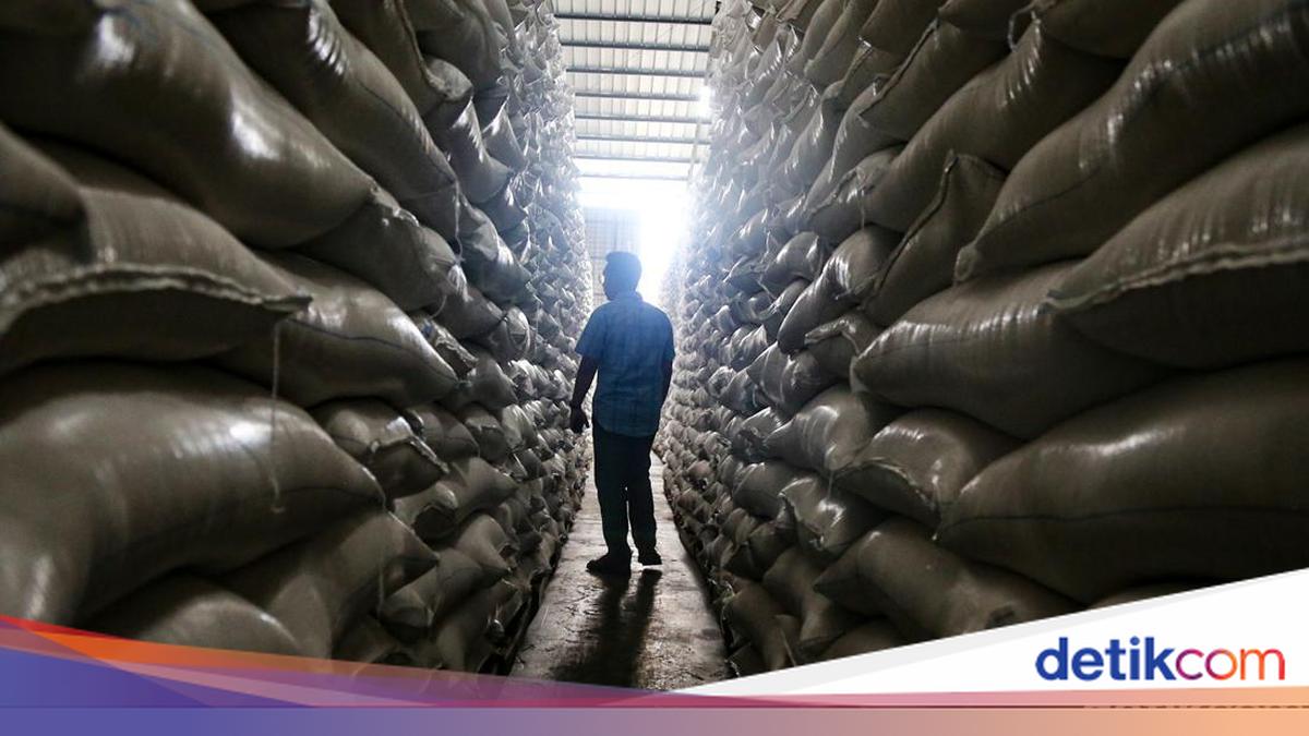 Stok Beras Melimpah, Bulog Tambah Kapasitas Gudang Jadi 7 Juta Ton