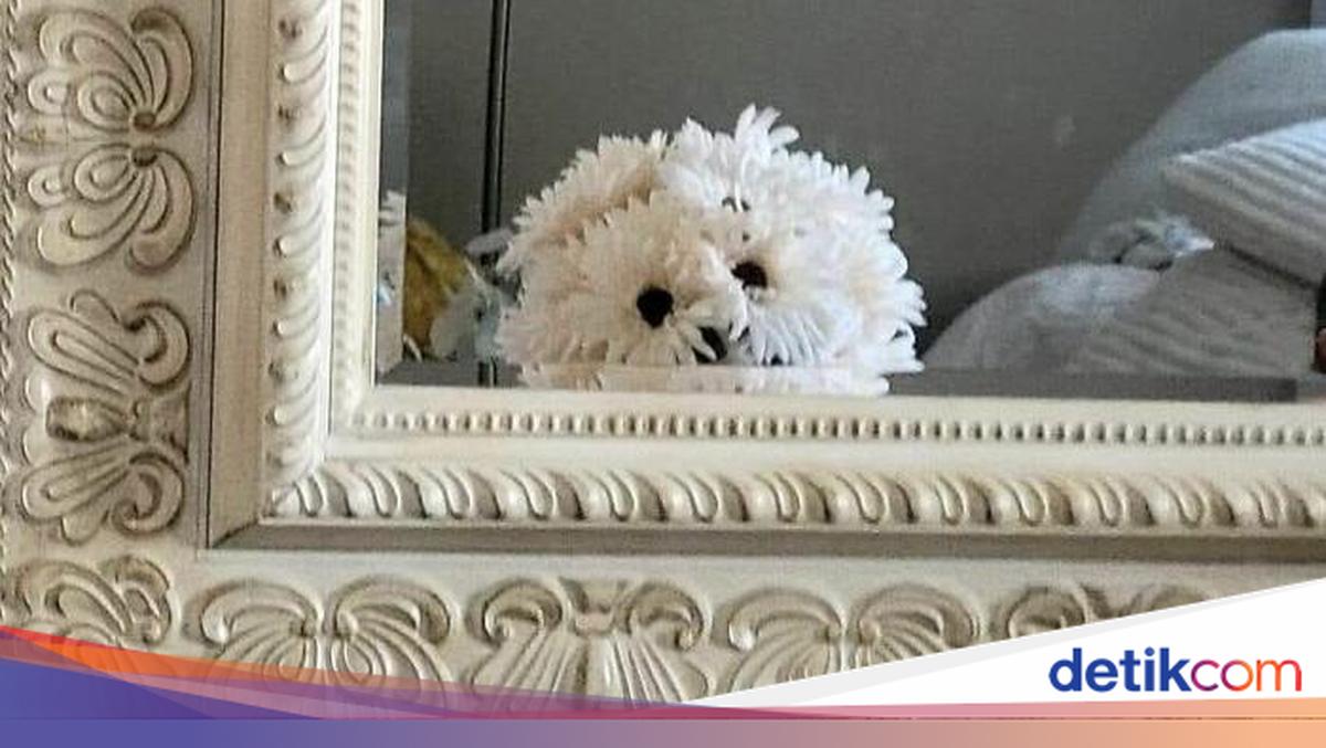 Ngeri tapi Nyata! Benda Sehari-hari Ini Seolah Punya Wajah