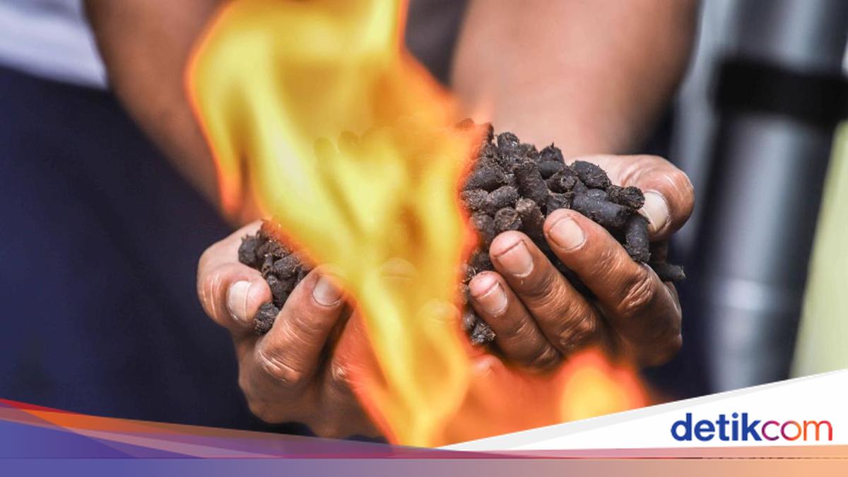 Melihat Sampah Organik Disulap Jadi Arang Ramah Lingkungan