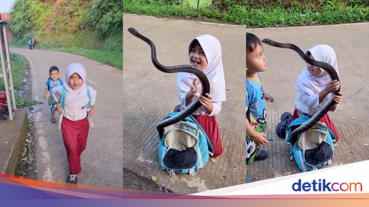 Viral! Bocah SD Bawa Ular Besar di Tas, Netizen Debat AI atau Asli