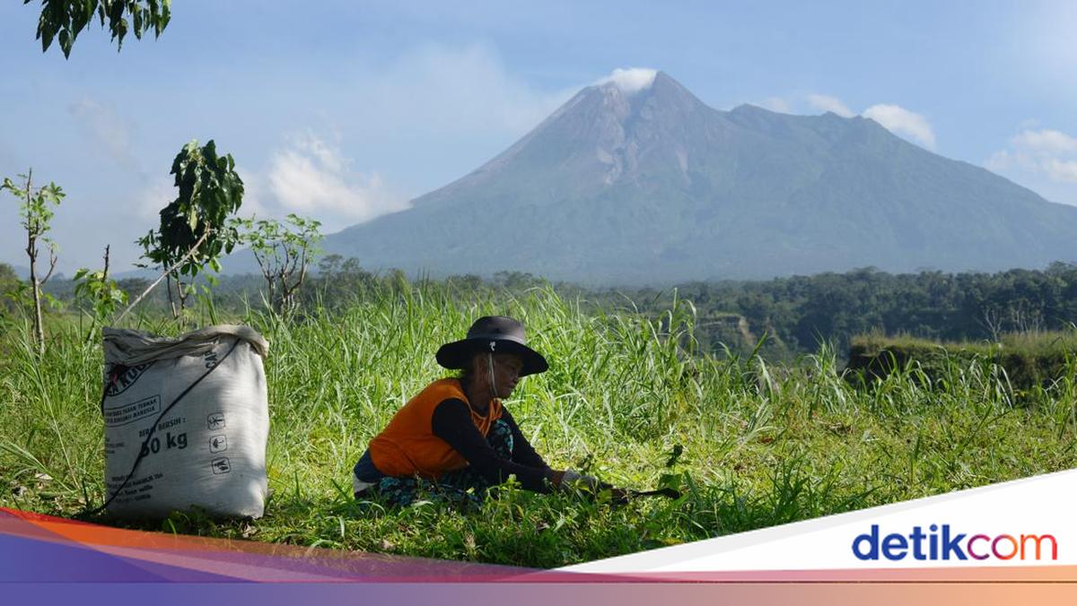 Cuaca Jogja Hari Ini: Hujan Ringan di Lereng Gunung Merapi