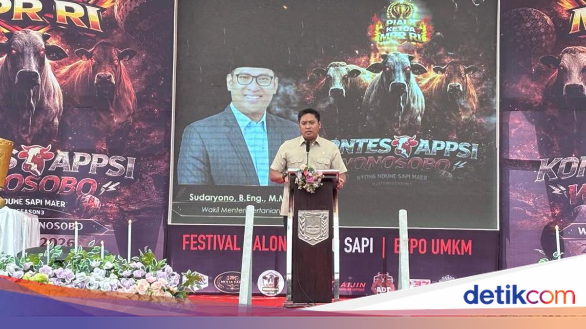 Jelang Idul Adha, Wamentan Minta Tak Potong Sapi Betina Produktif