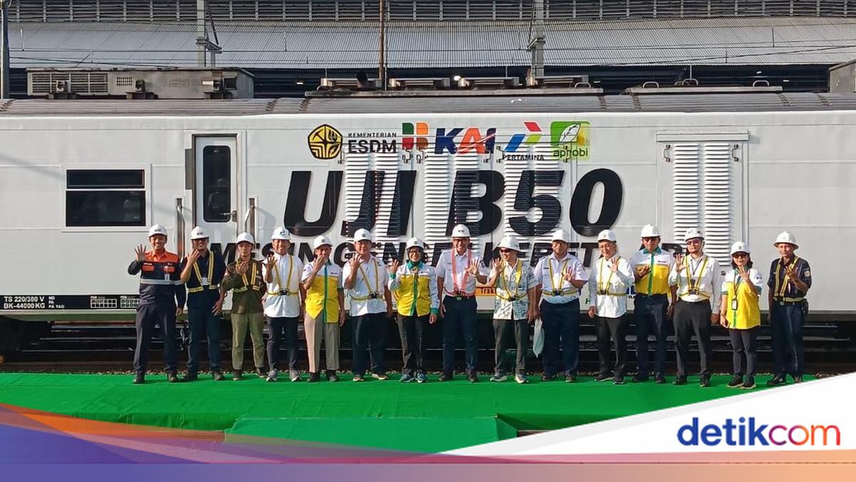 B50 Mulai Jalan Juli, Peremajaan Sawit Kunci Pasokan Bahan Baku
