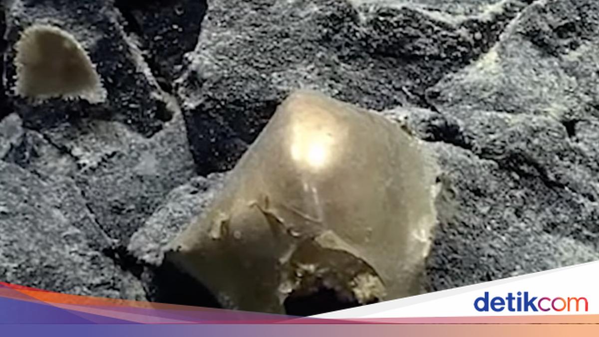 Misteri 'Bola Emas' Misterius di Dasar Laut Akhirnya Terbongkar