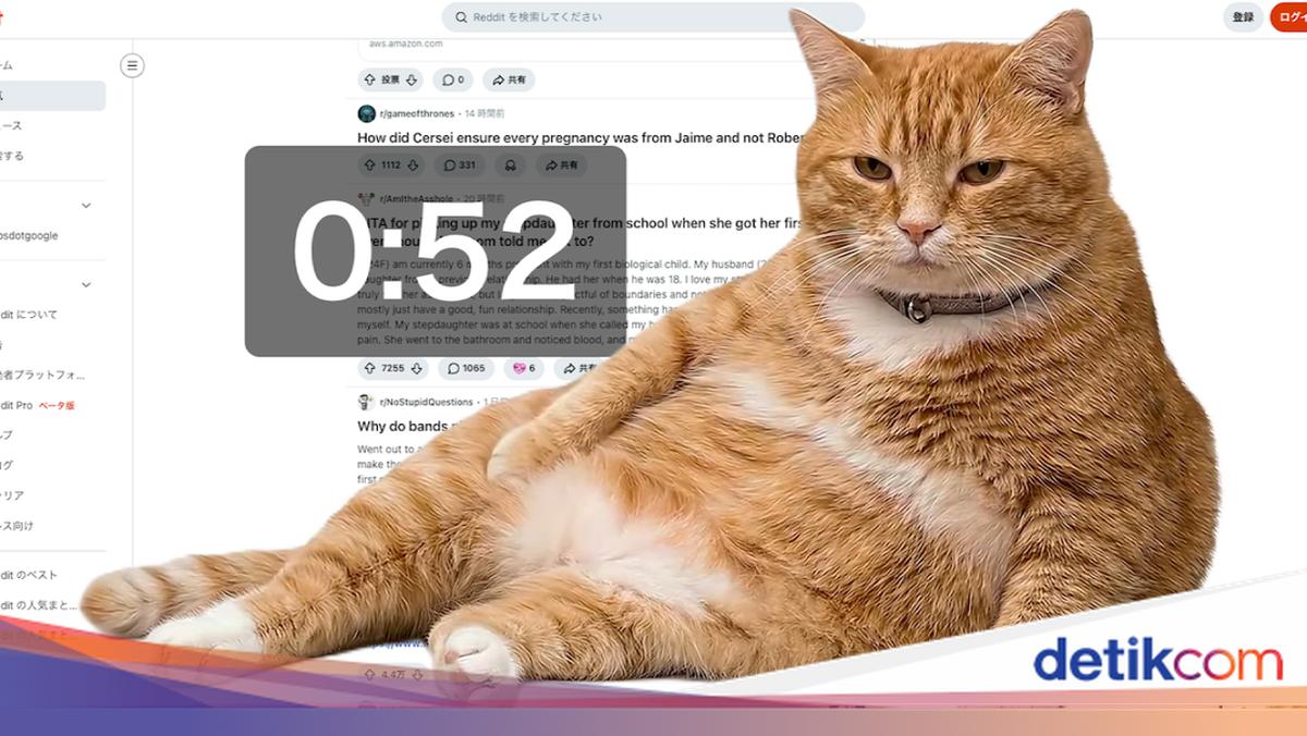 Cara Pasang Cat Gatekeeper, Kucing Oren yang Tutupi Layar biar Setop Scrolling