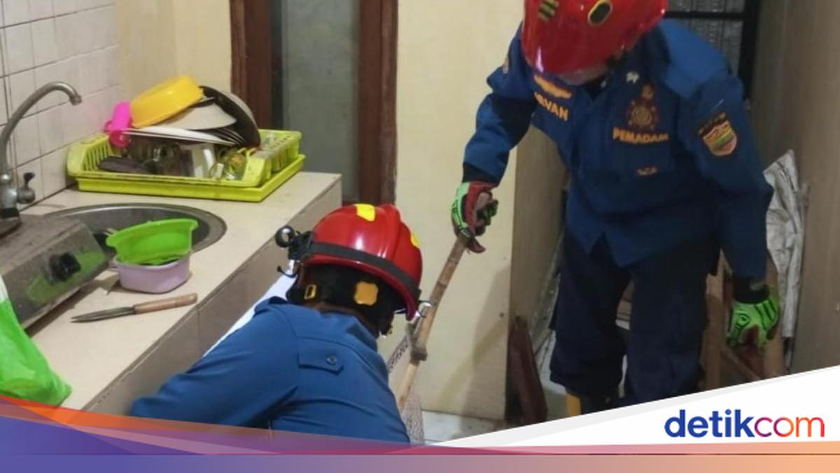 Malam-malam Damkar Ciamis Terima Laporan Tak Biasa, Diminta Evakuasi Katak