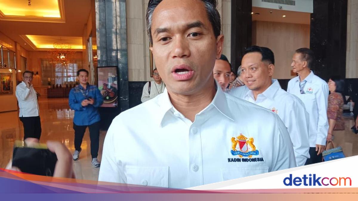 Ketum Kadin Curhat ke Luhut: Pengusaha Lagi Stres, Minta Dikasih Napas
