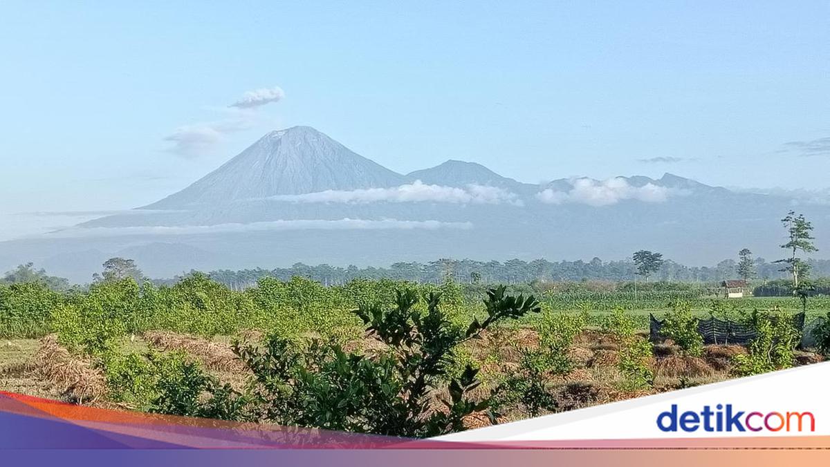 Gunung Semeru Erupsi 4 Kali Pagi Ini, Tinggi Letusan Capai 1.000 Meter