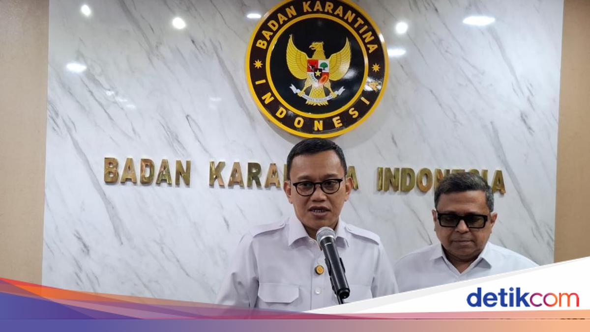 Produk Impor Masuk RI Wajib Sehat dan Halal