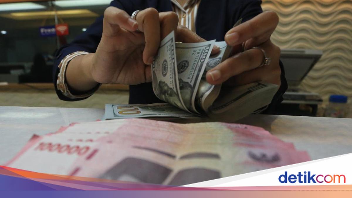 Rupiah Lagi Undervalued, Bos Bi Ungkap Biang Keroknya